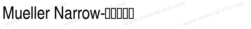 Mueller Narrow字体转换